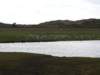 HWK Texel 062_small.jpg